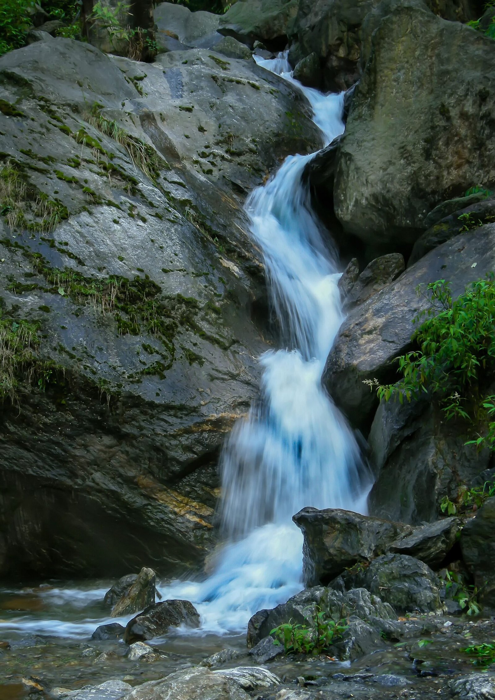 Lachung Couple Tour Package