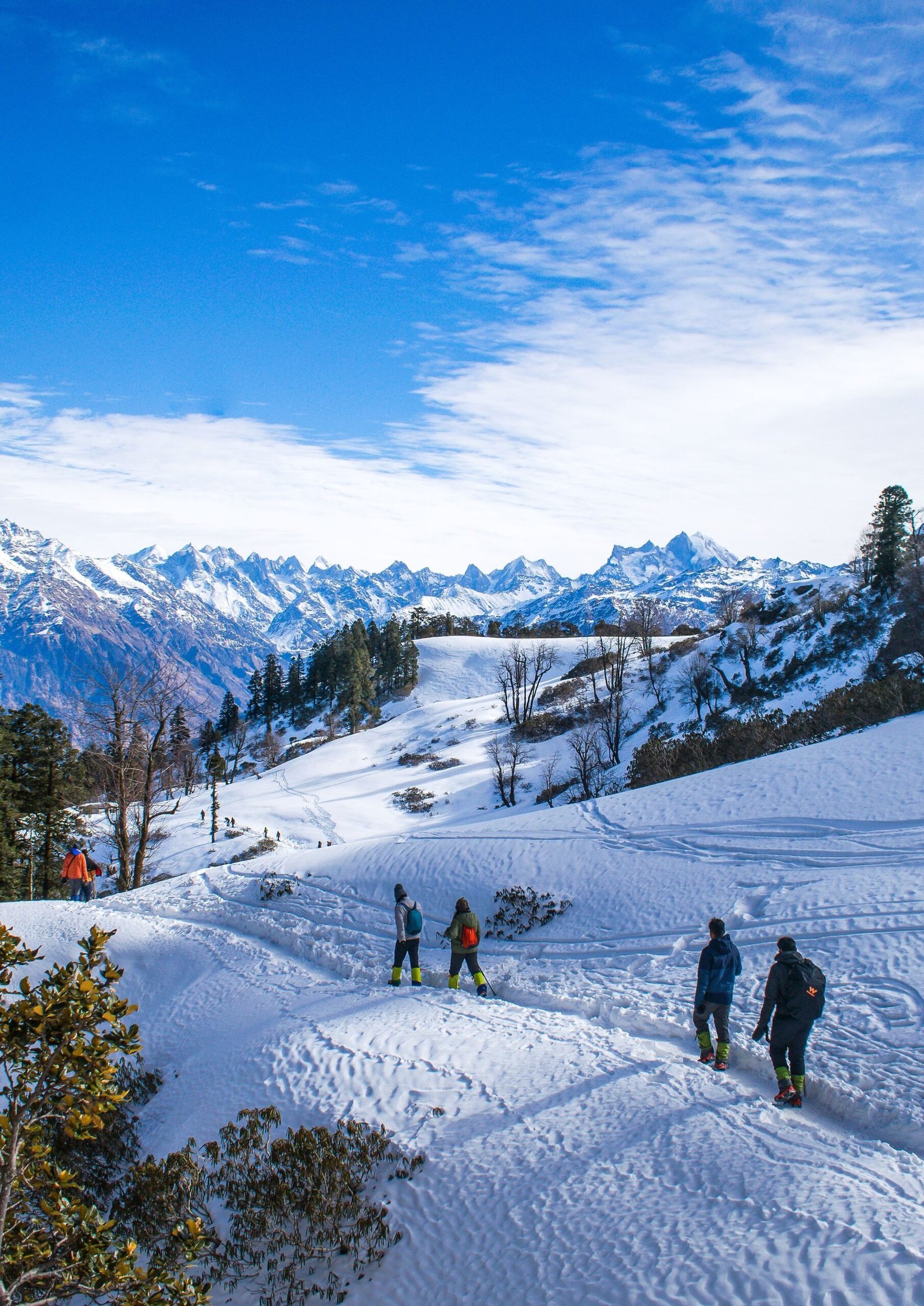 Manali Couple Tour Package